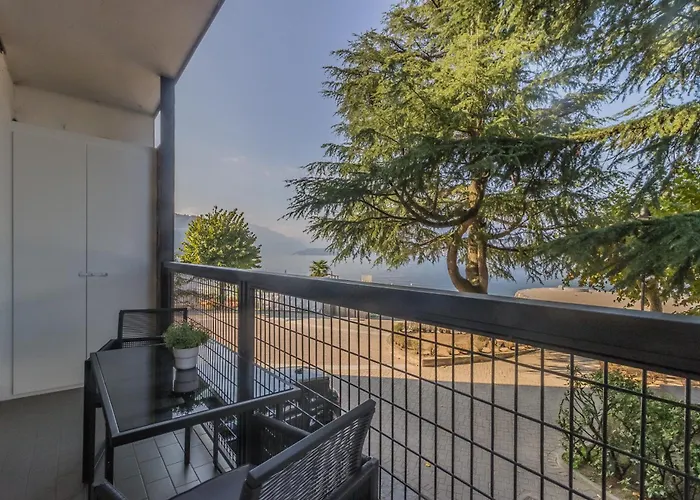 The Paraguays * Bellano