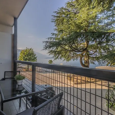 The Paraguays * Bellano